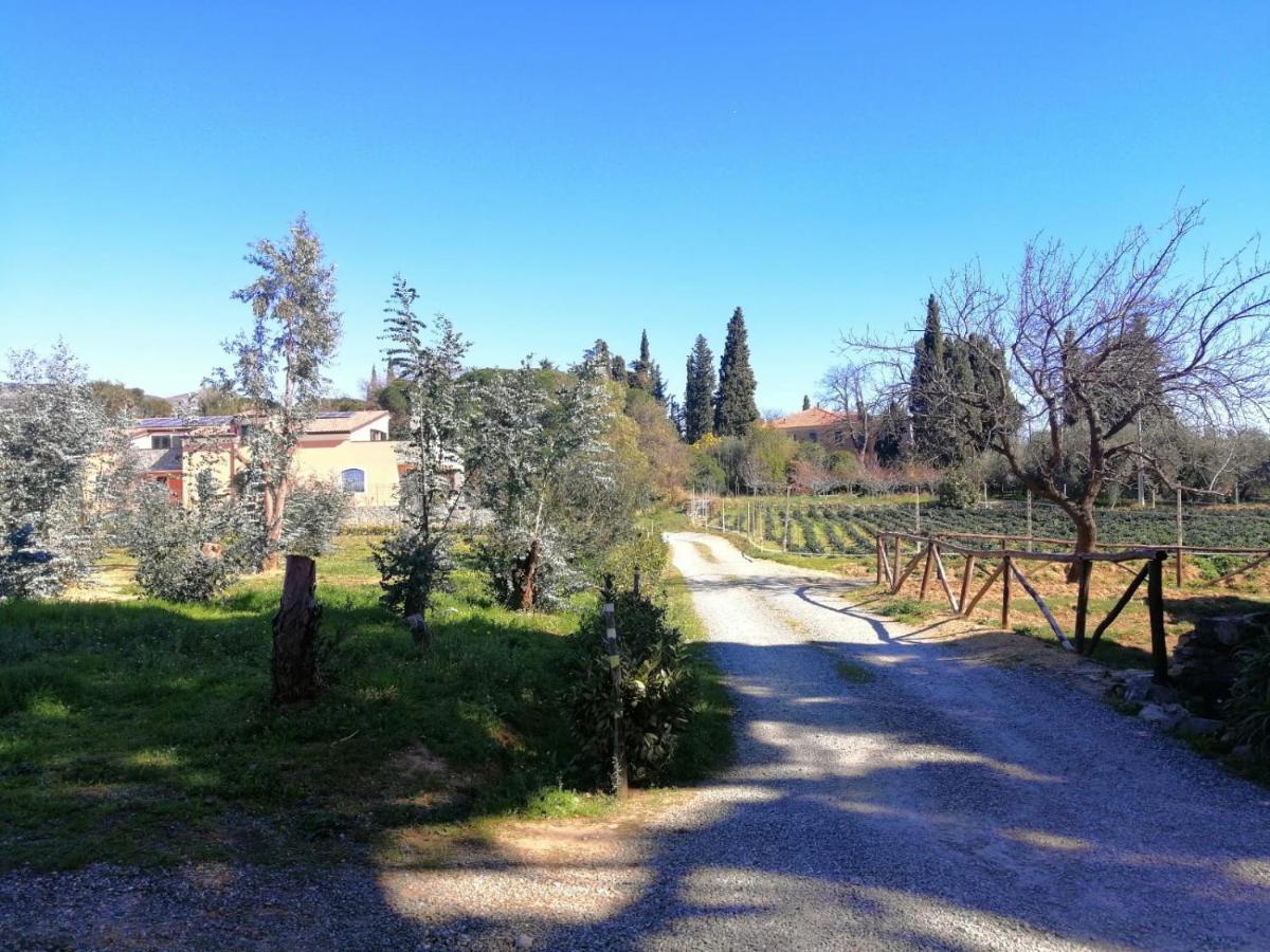 Nonna Litta Villa Albenga Luaran gambar